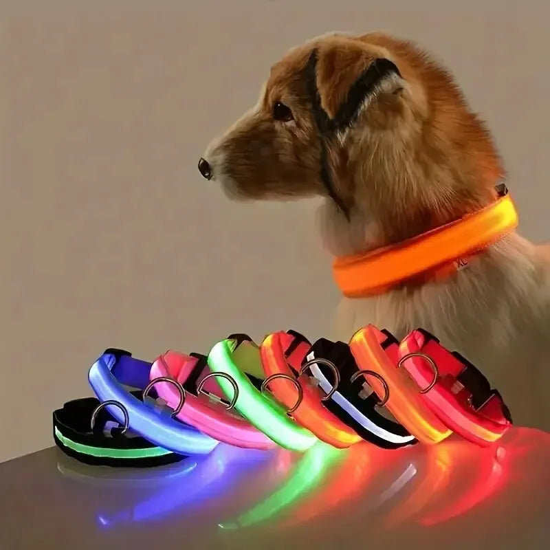 Obroża dla psa z nylonu, LED, świecąca w ciemności, fluorescencyjna obroża