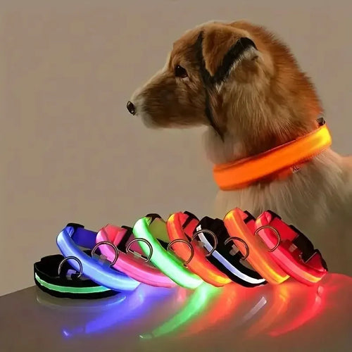 Obroża dla psa z nylonu, LED, świecąca w ciemności, fluorescencyjna obroża